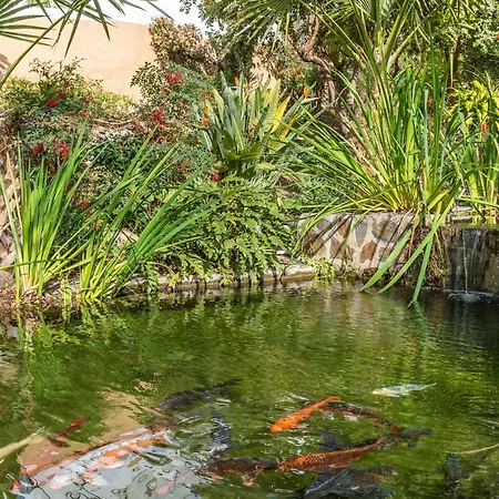 Rabat 7 Oasis דירה *