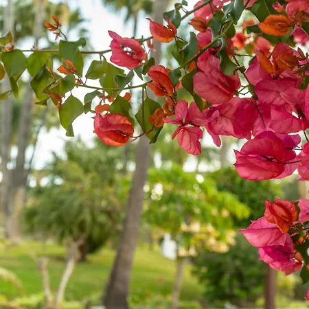 Rabat 7 Oasis דירה *