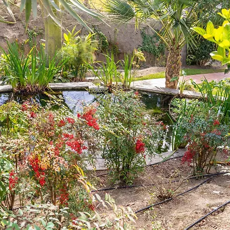 Rabat 7 Oasis דירה *