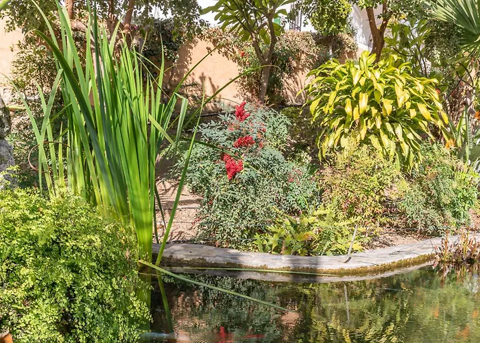 Rabat 7 Oasis * Нерха