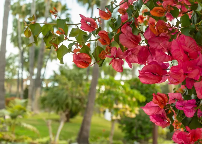 Rabat 7 Oasis Апартаменты *